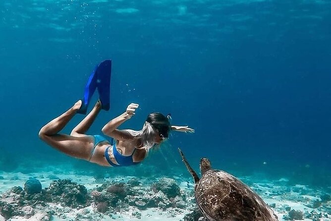 Gili Island Snorkeling Trip - Gili Trawangan, Gili Meno, & Gili Air, From Lombok - Private Glass-Bottomed Boat Tour