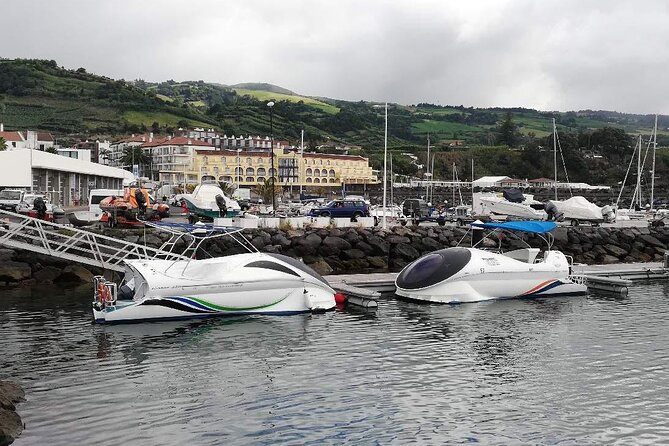 Glass Bottom Boat Tour & Snorkeling in São Miguel, Azores - Experience Highlights