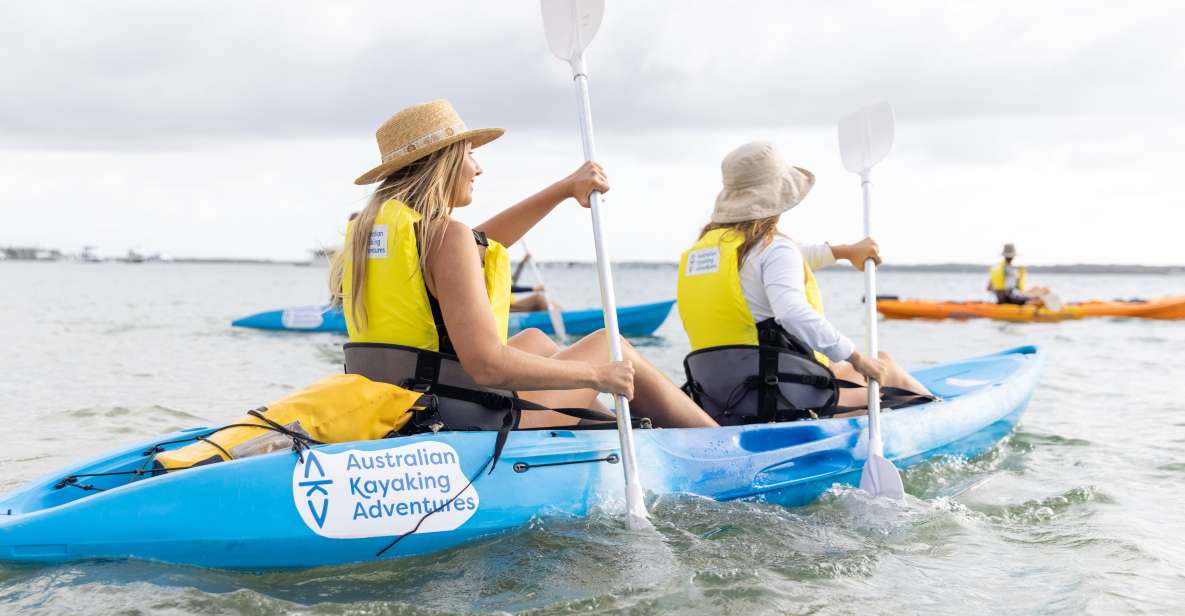 Gold Coast: Kayaking and Snorkeling Guided Tour - Experience Description