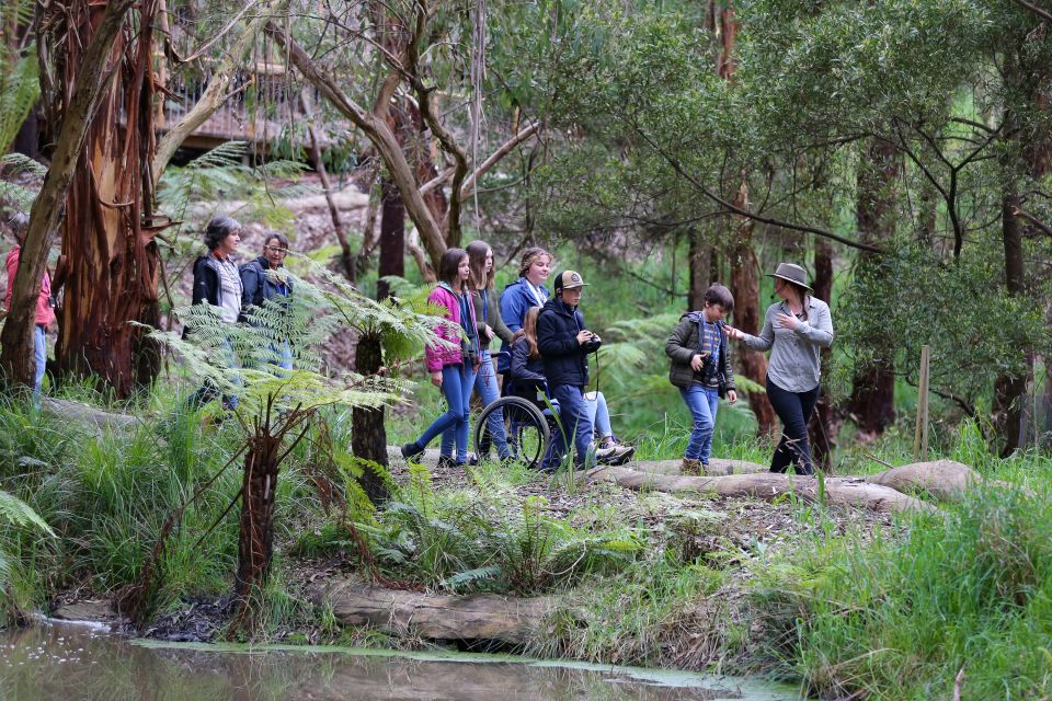 Great Ocean Road: Guided Wildlife Walk That Supports Nature - Customer Reviews and Ratings