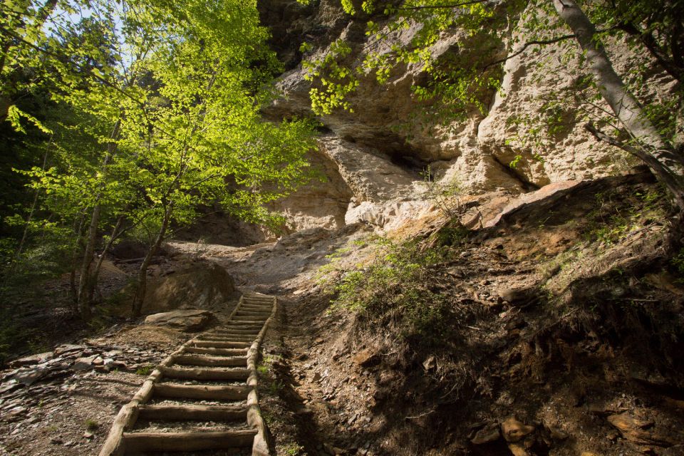 Great Smoky & Shenandoah National Park Driving Audio Tour - Roaring Fork Motor Trail Adventure