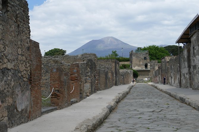 Guided Day Tour of Pompeii and Herculaneum With Light Lunch - Additional Details