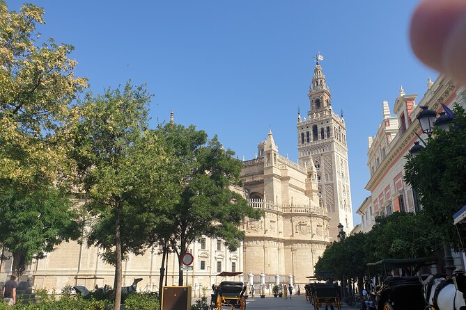 Guided Tour Sevilla Cathedral - Customer Reviews and Excellence Badge