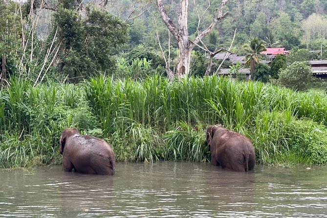 Half-Day Elephant Experience at Rantong - Cancellation and Refund Policy