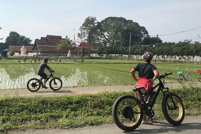 Half-Day Ping River and Rice Paddies E-Bike Adventure (Flat Land, Guided) - Guided E-Bike Tour Highlights
