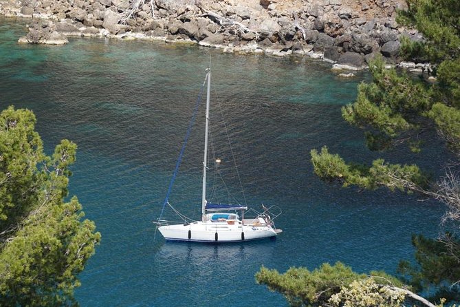 Half Day Sailing Excursion Along the Coast - Additional Details
