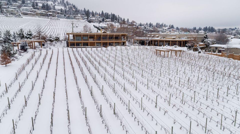 Half-Day West Kelowna Wine Tour - Wine Tasting Experiences