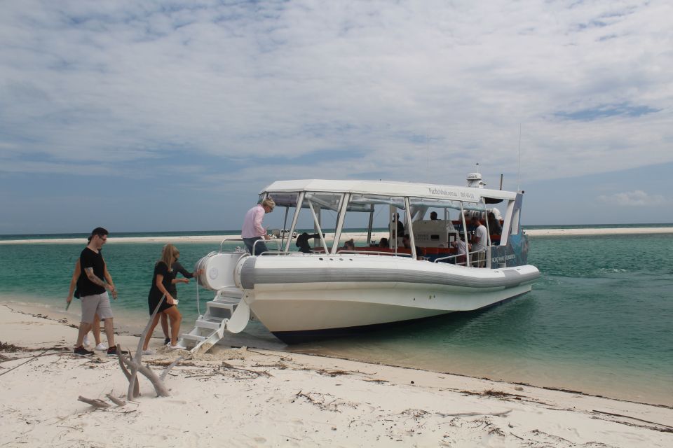 Hervey Bay: Ultimate Whale Watching Experience - Customer Reviews and Ratings