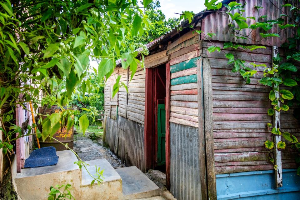 Higuey: Full-Day Tour With River Boat, Lunch, & Voodoo Show - Haitian Sugarcane Farmers