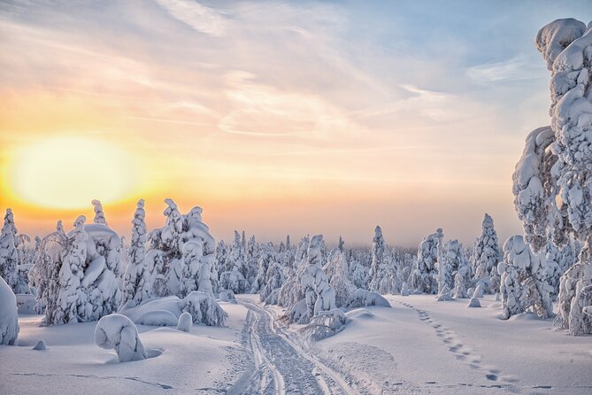 Hike to Frozen Waterfalls of Korouoma Including BBQ Lunch From Rovaniemi - Languages and Transportation