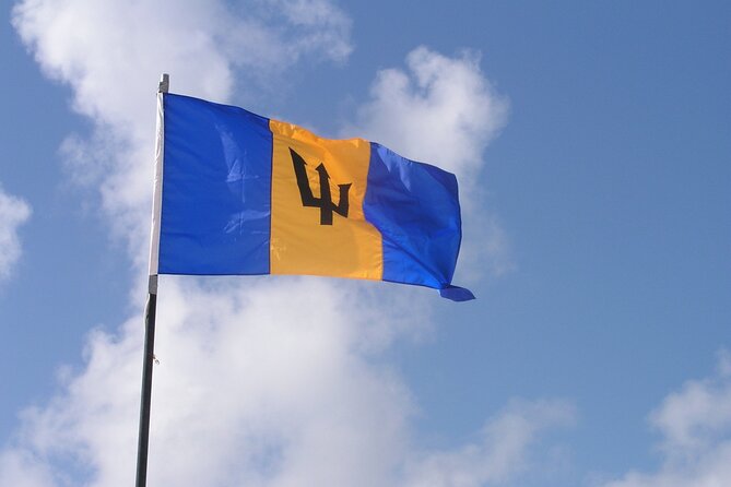Historic Walking Tour of Bridgetown Barbados - Tips for a Great Tour