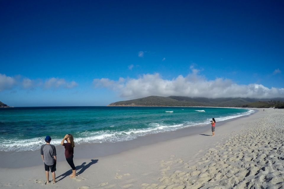 Hobart: Wineglass Bay & Freycinet Active Day Tour - Important Information