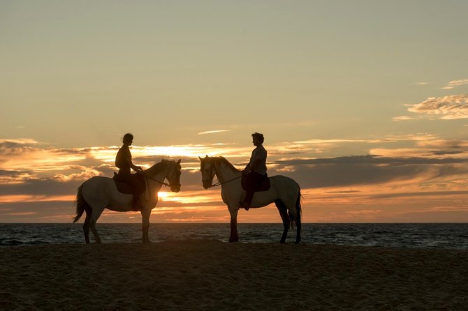 Horse Riding on the Beach - Duration and Pacing