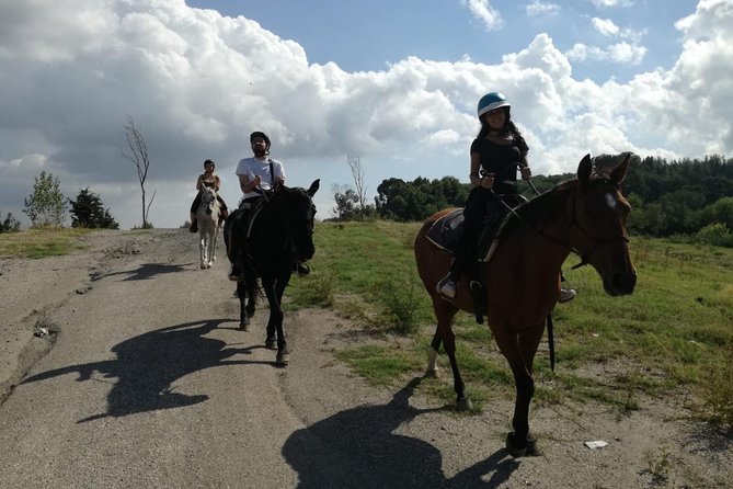 Horse Riding on Vesuvius - Booking and Confirmation