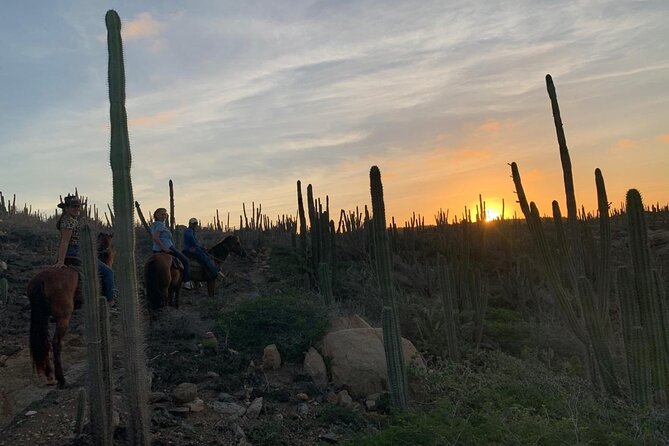 Horseback Riding Wariruri Beach Tour in Aruba - Booking Information