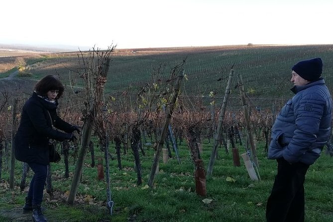 ICONICS Tour: 1/2 Day on the Wine Route, Visit of 2 Villages + Tasting. - Additional Information
