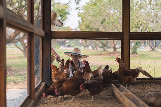 Indulge in Authentic Thai Flavors and Serene Organic Farm (Full Day Course) - Additional Information