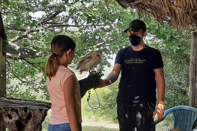 Interactive Path of Birds of Prey - Accessibility and Accommodations