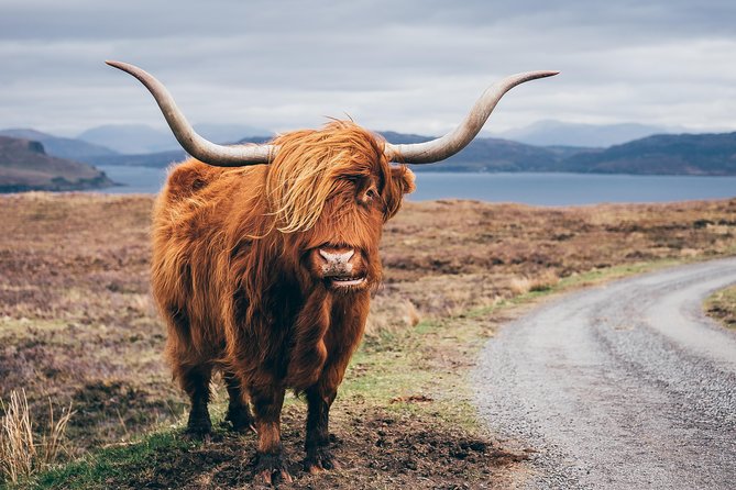 Isle of Skye, the Highlands and Loch Ness - 3 Day Tour From Glasgow - Experience Loch Ness