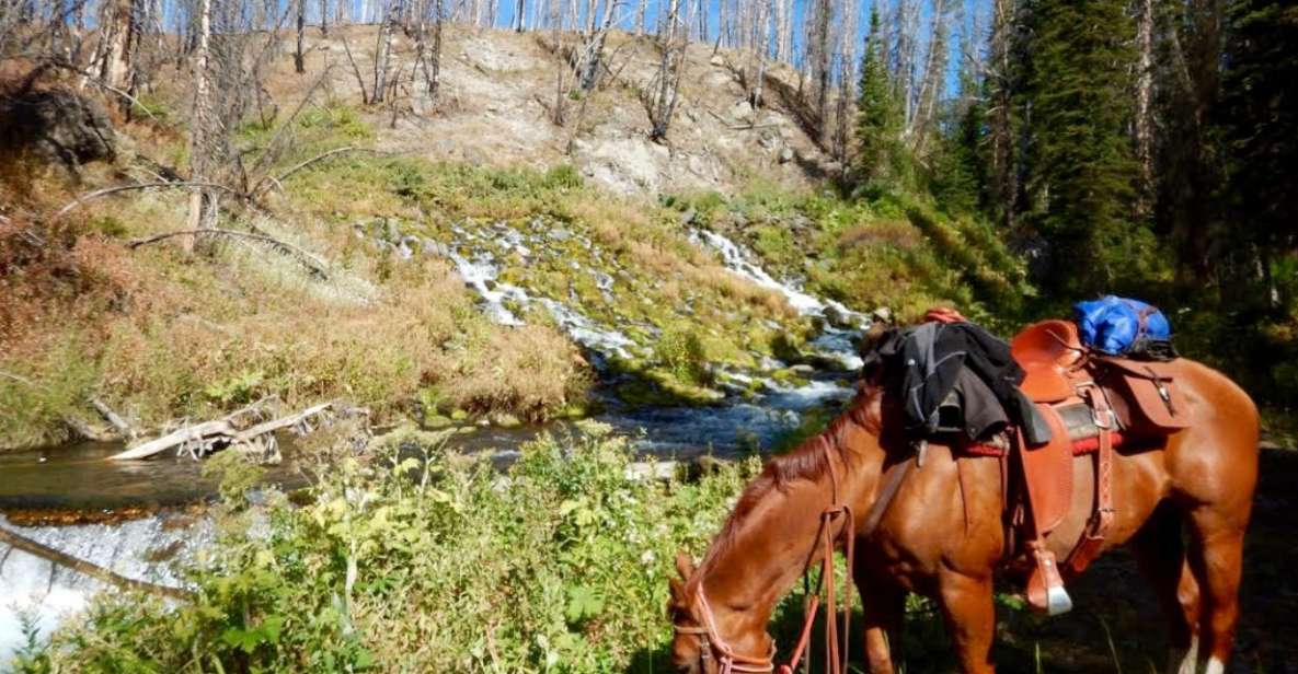 Jackson Hole: Dinner Cookout & Bridger-Teton Horseback Ride - Frequently Asked Questions