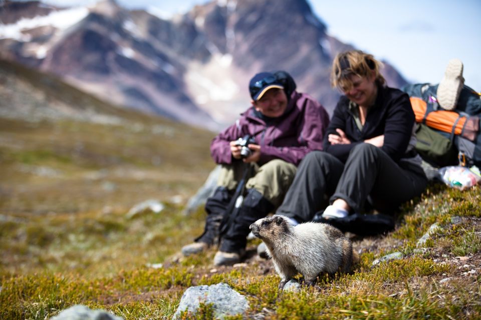 Jasper: Transfer to Banff/Lake Louise W/ Columbia Icefields - Small Group Sizes