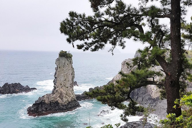 Jeju Island South UNESCO Day Tour With Lunch Included - Additional Information