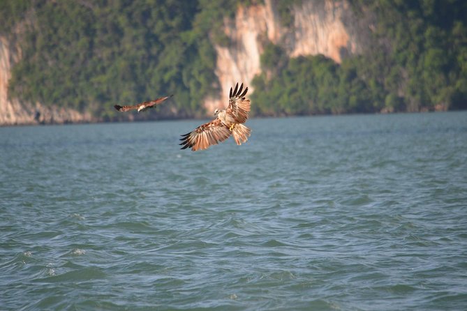 John Grays Adventure Hong by Starlight in Phang Nga Bay - Traveler Reviews and Ratings