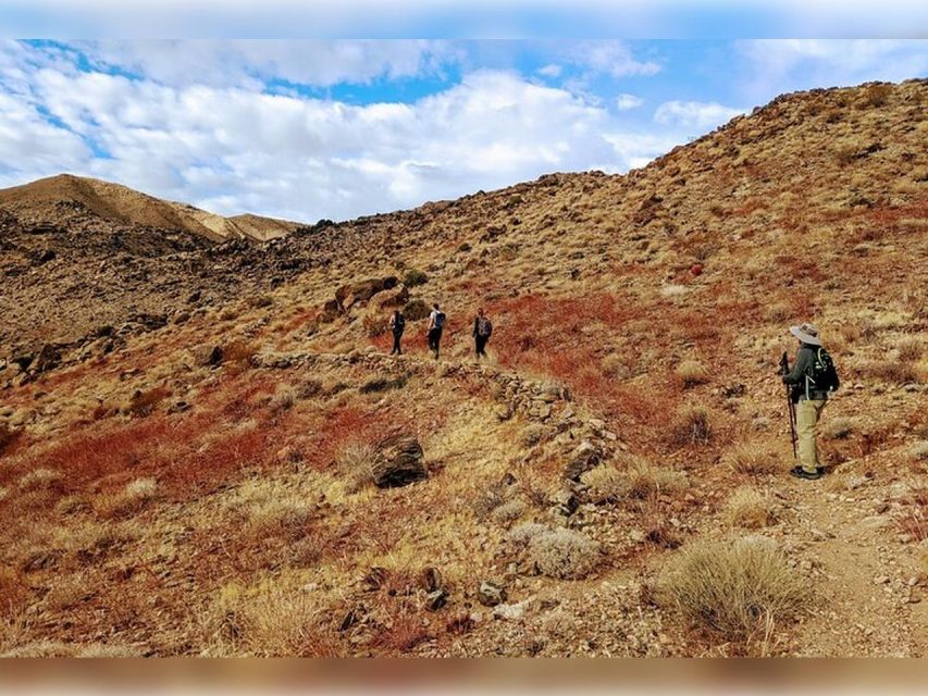 Joshua Tree: Half-Day Private Hike of the National Park - Park Entrance Fee Included