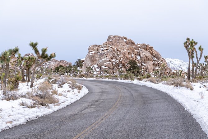 Joshua Tree National Park Self-Driving Audio Tour - Traveler Testimonials