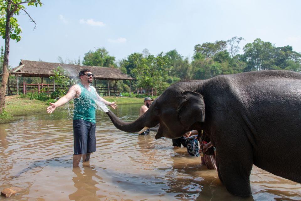 Kanchanaburi: Elephant Sanctuary & Erawan Waterfall Tour - Admiring the Erawan Waterfalls