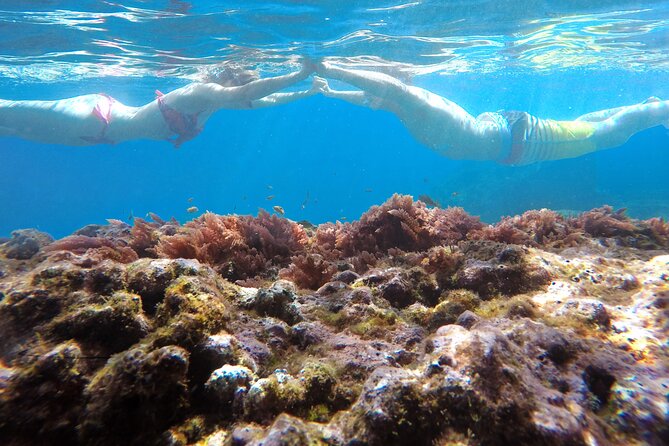 Kayak and Snorkeling Tour in Underwater Nature Reserve Garajau - Testimonials and Reviews