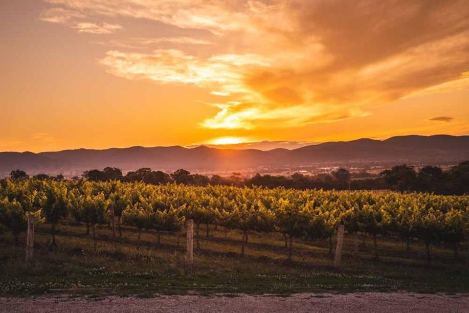 Kelowna: Sunset Sip Wine Tour - Scenic Views