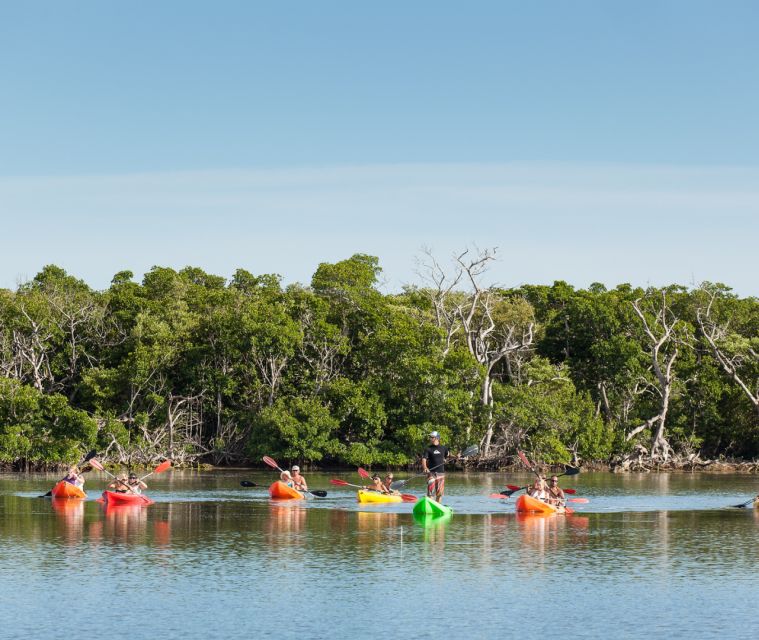 Key West Morning Sail, Snorkel & Kayak Excursion - Guidance From Experienced Crew Members