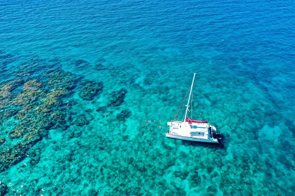 Key West: Reef Snorkel Morning Tour With Breakfast & Mimosas - Variety of Coral and Fish Species