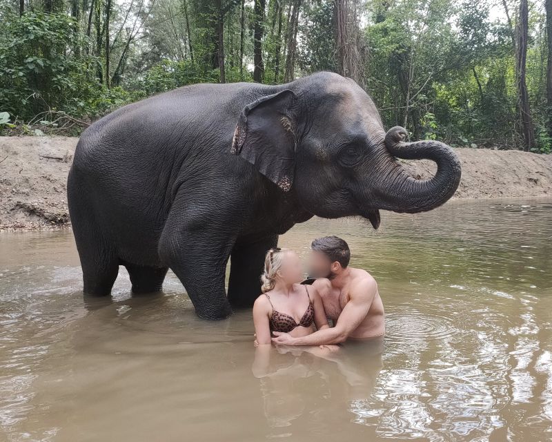 Khao Lak: Elephant Bathing and Feeding Tour - Getting to the Tour