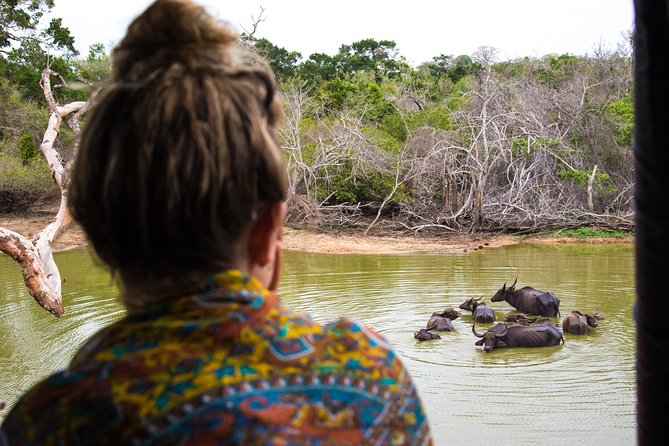 Kumana National Park Half Day Jeep Safari - Tips for an Enjoyable Experience