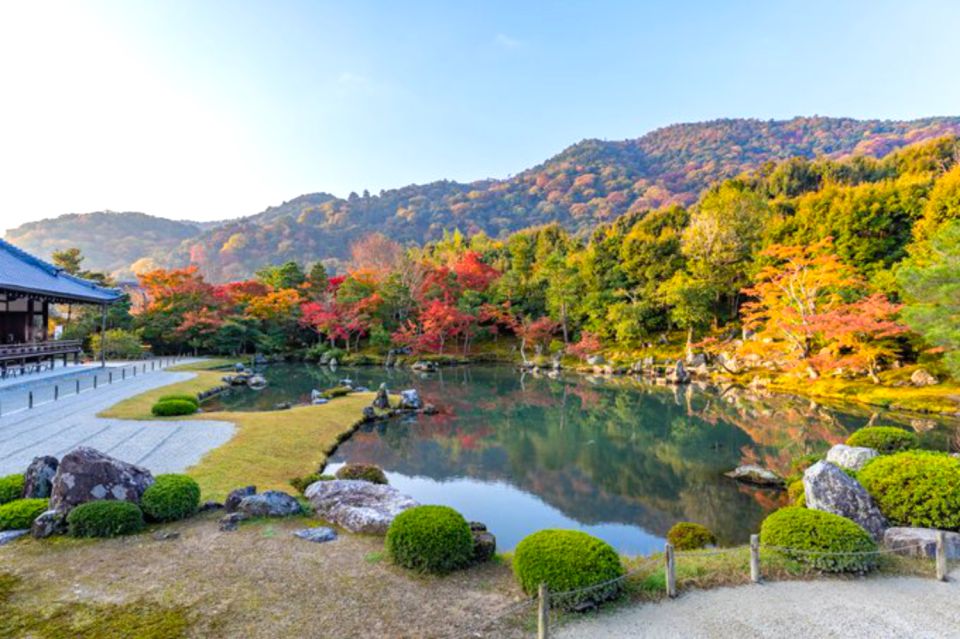 Kyoto: Arashiyama Bamboo, Temple, Matcha, Monkeys, & Secrets - Panoramic Views of Arashiyama