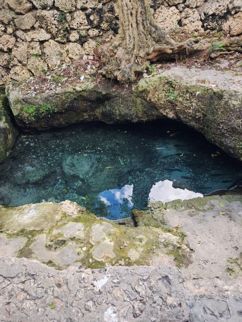 Learn About the History of Bayahibe and Bathe in 7 Springs - Frequently Asked Questions