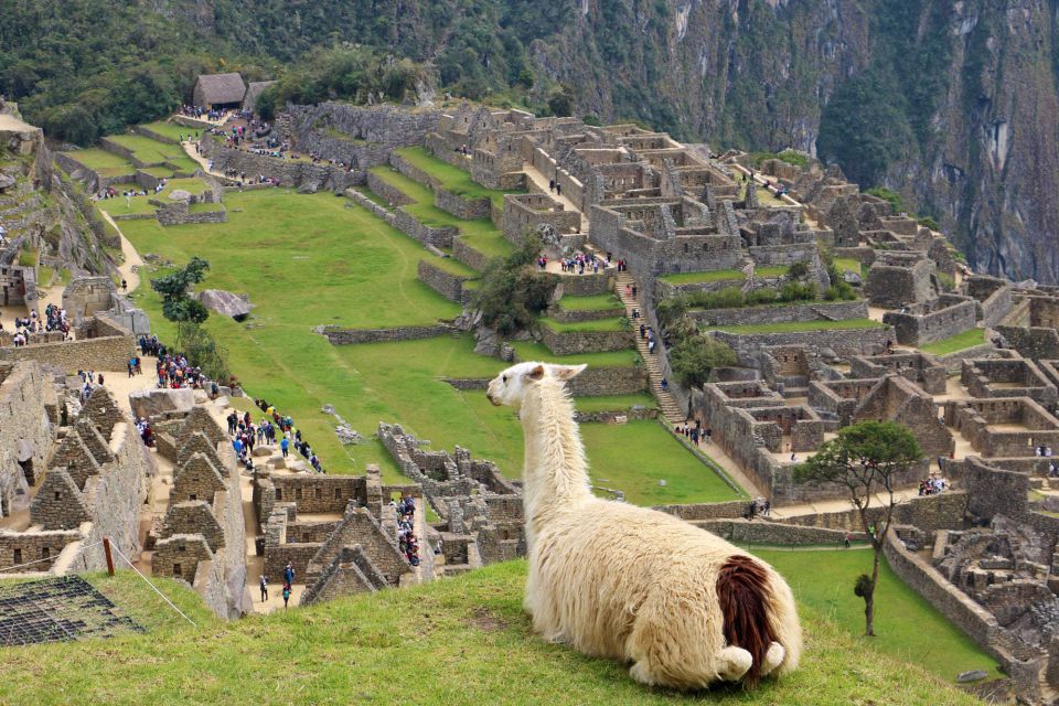 Lima: 9-Day Peru Express With Ica, Cusco, and Puno - Rainbow Mountain Day Trip