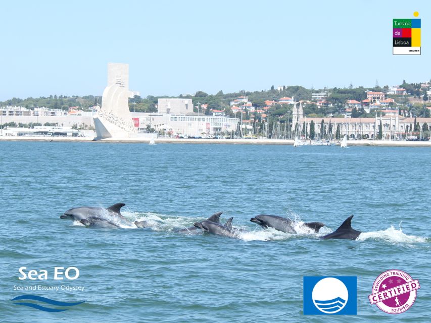 Lisbon: Dolphin Watching With Marine Biologist - Safety Briefing and Inclusions