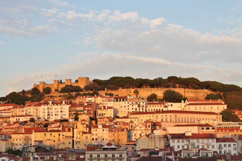 Lisbon: Full-Day Private Walking Sightseeing Tour - Cruise Ship Flexibility