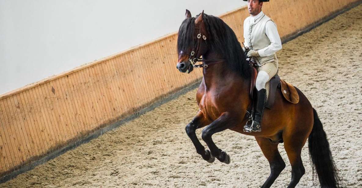 Lisbon: Portuguese Riding School Trainig With Lusitano Horse - Preparing for Your Visit