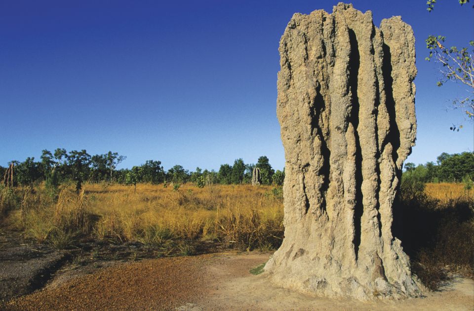 Litchfield National Park: Full-Day & Lunch From Darwin - Frequently Asked Questions