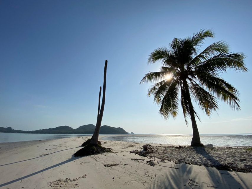 Local Culture Community at Koh Yao Yai - Coconut Harvesting and Farming