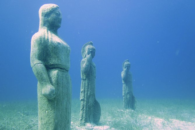 Local Guided Dives (For Certified/Licensed Divers) - Marine Life Observations
