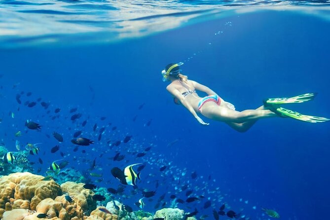 Lombok Pink Beach Boat Trip (Full Day + Snorkeling) - Tour Accessibility and Participation
