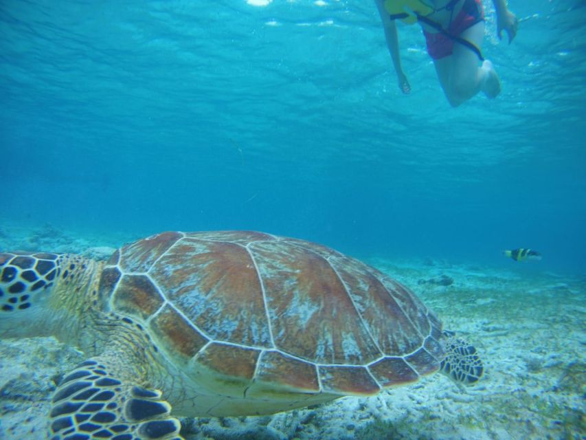 Lombok: Private Island Tour by Boat With Snorkeling - Exploring the Islands