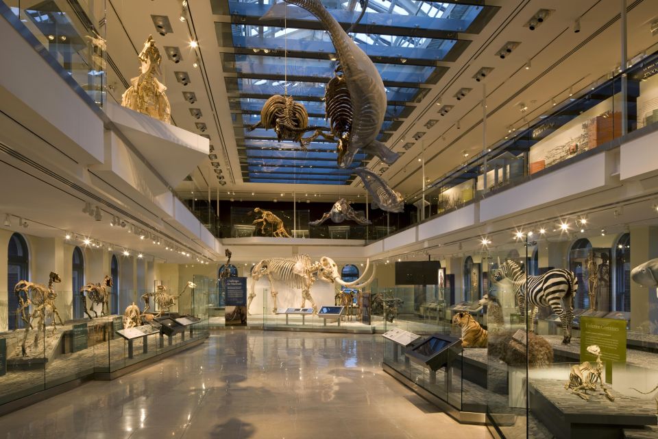 Los Angeles: Natural History Museum of LA Entry Ticket - Services