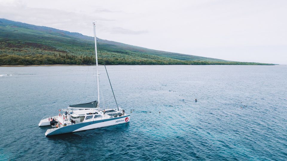 Maalaea: West Maui Snorkeling & Sailing Day Trip With Lunch - Booking and Availability Details