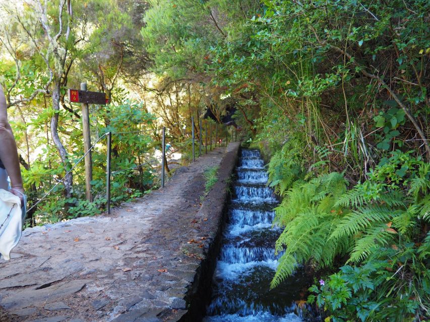 Madeira: 25 Fontes and Risco Levada Hike With Transfers - Traveler Types